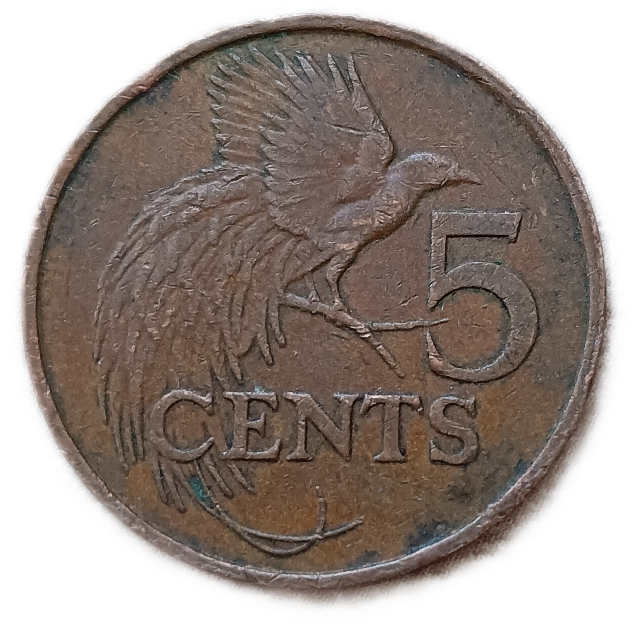 Тринидад и Тобаго 5 Центов 1984 год , Райская птица